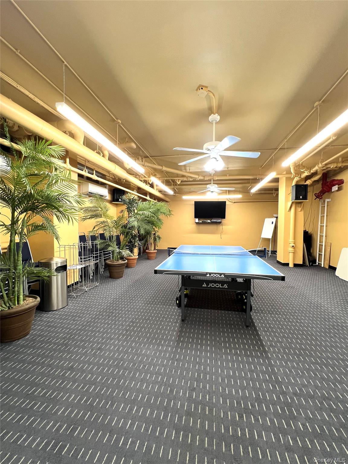 220-55 46 Avenue 5r Property Photo 16