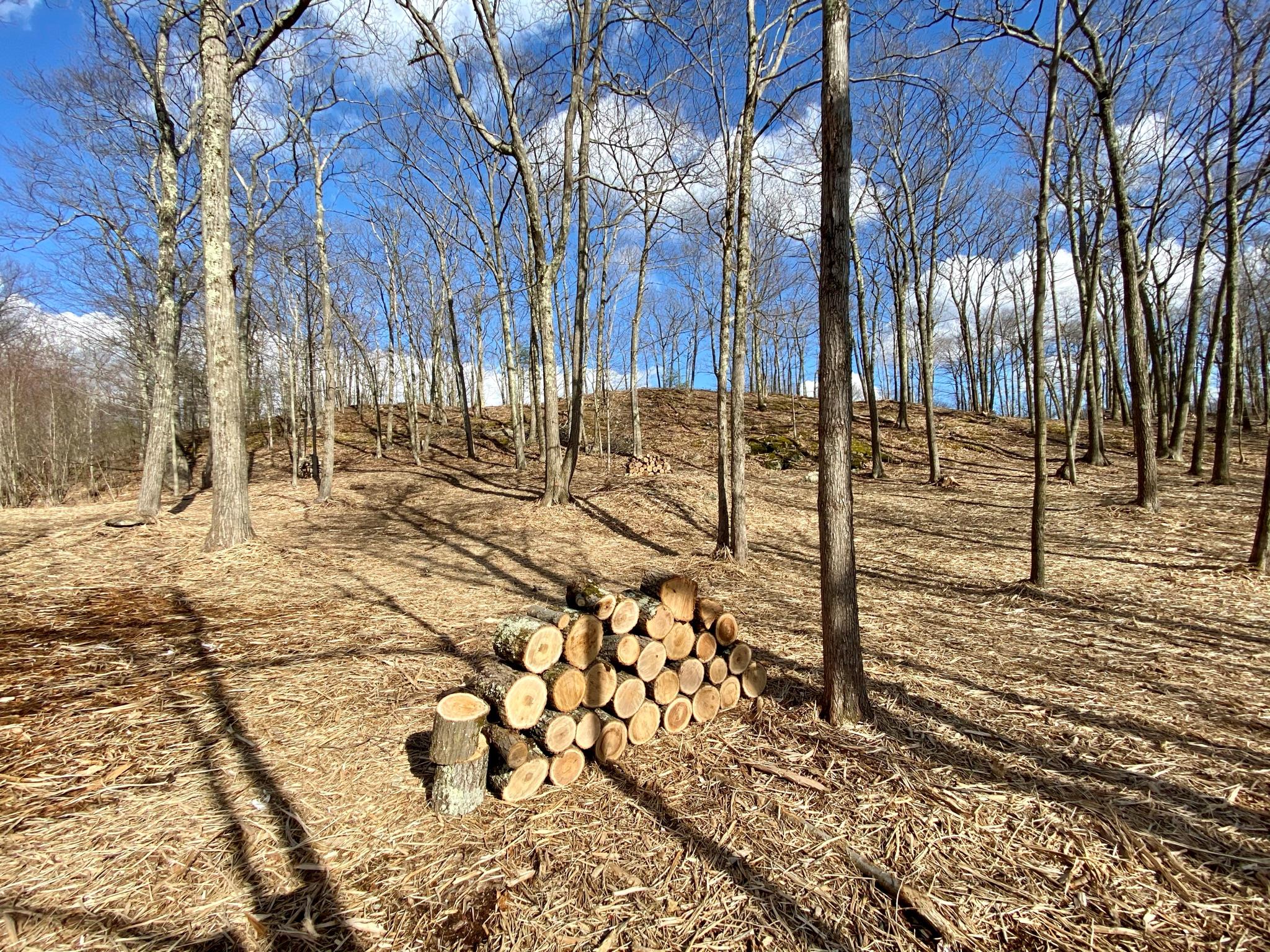 400 Mercer Mountain Road Property Photo 12