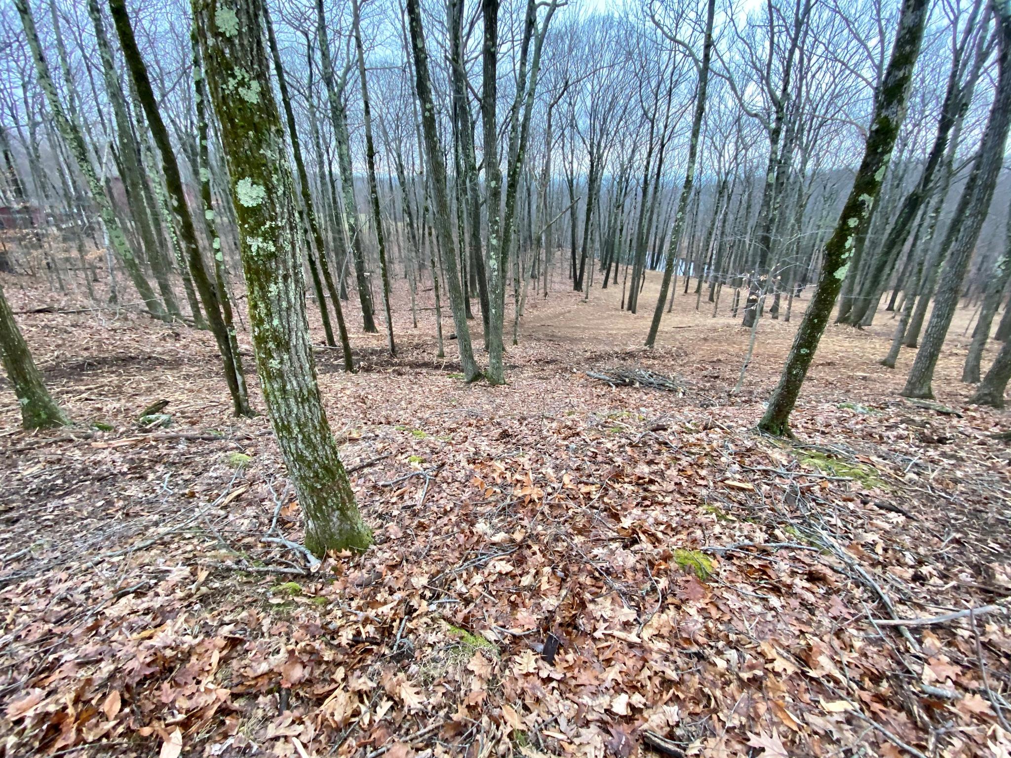400 Mercer Mountain Road Property Photo 13