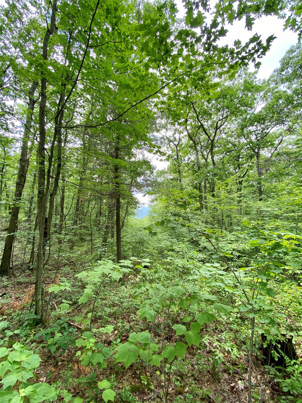 400 Mercer Mountain Road Property Photo 15