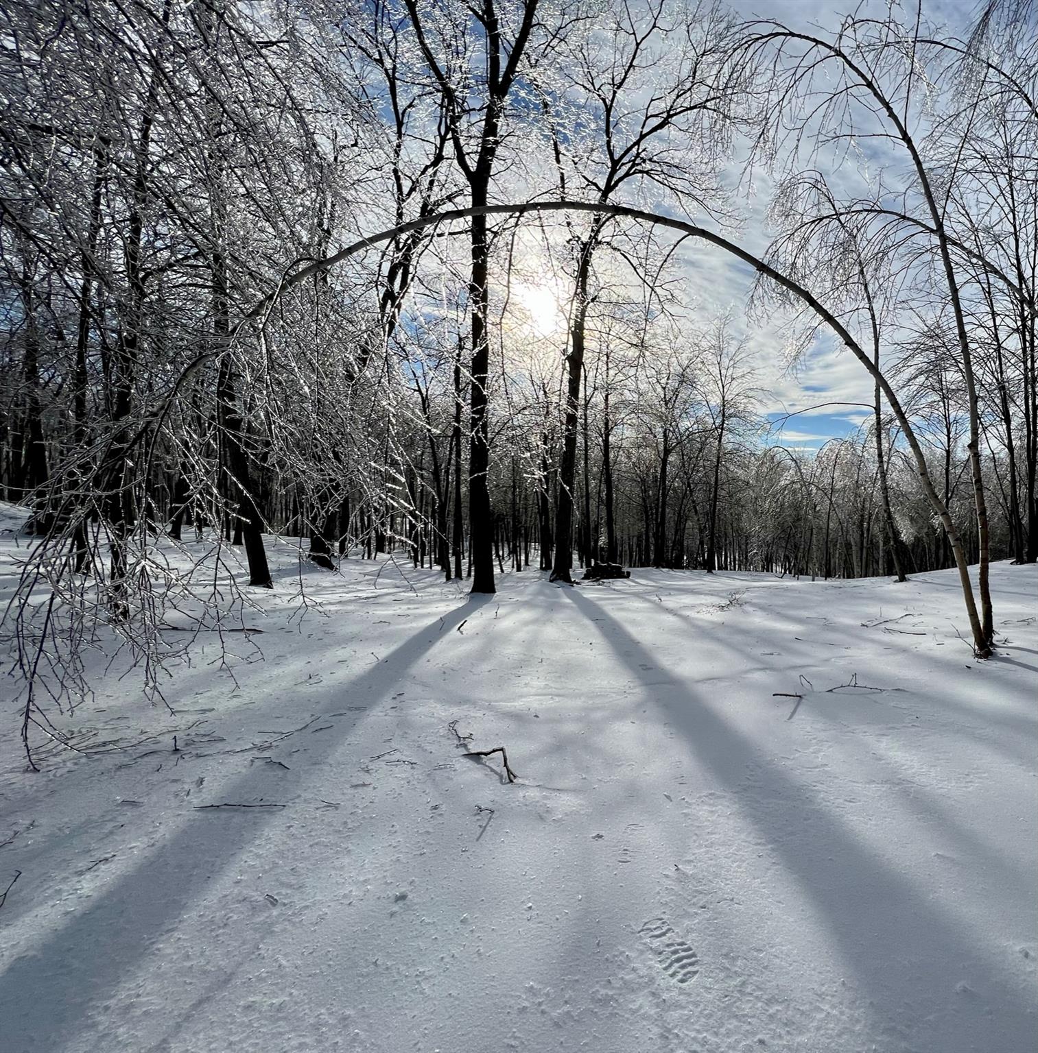 400 Mercer Mountain Road Property Photo 16