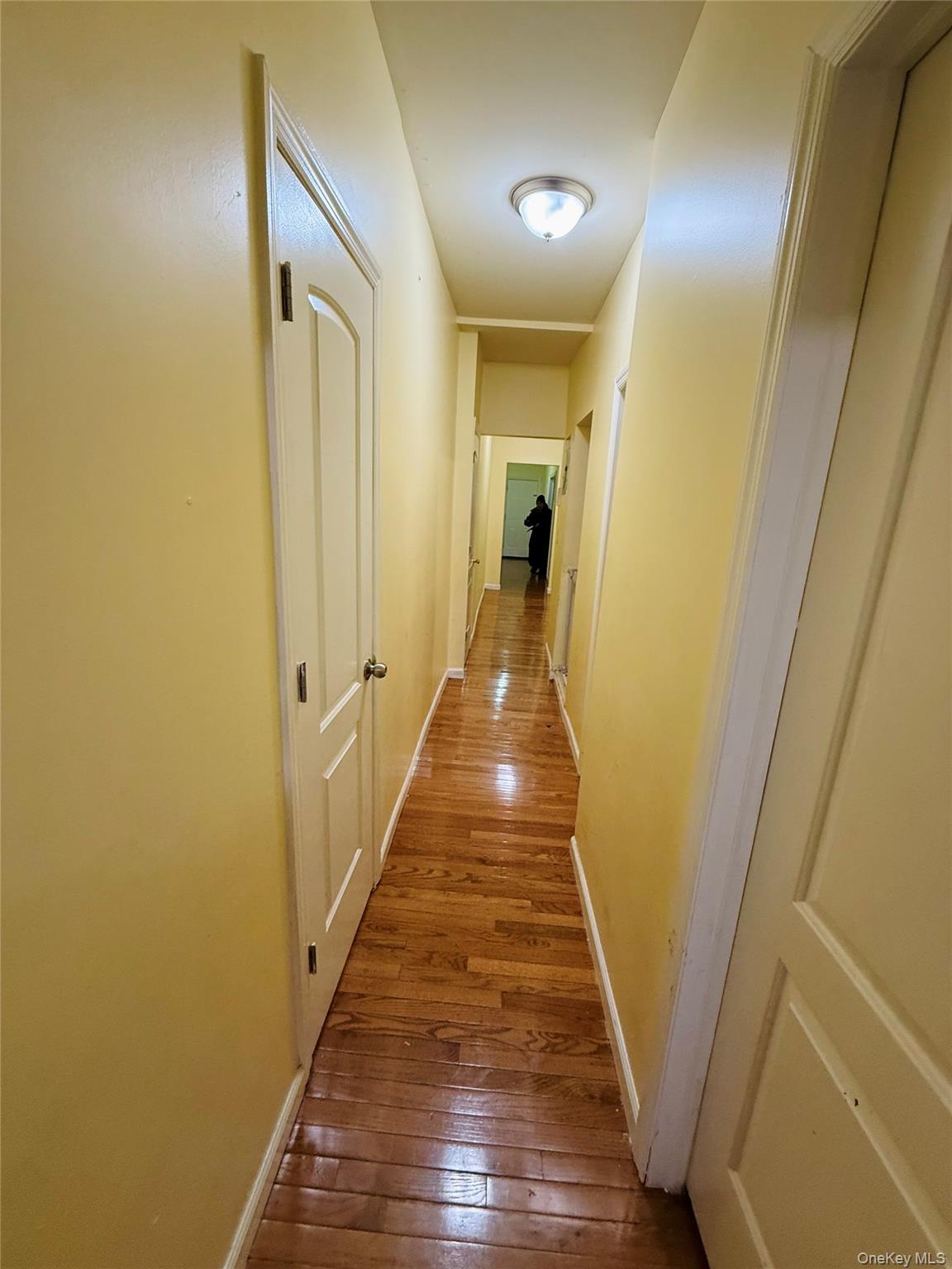 1327 Plimpton Avenue Property Photo 2