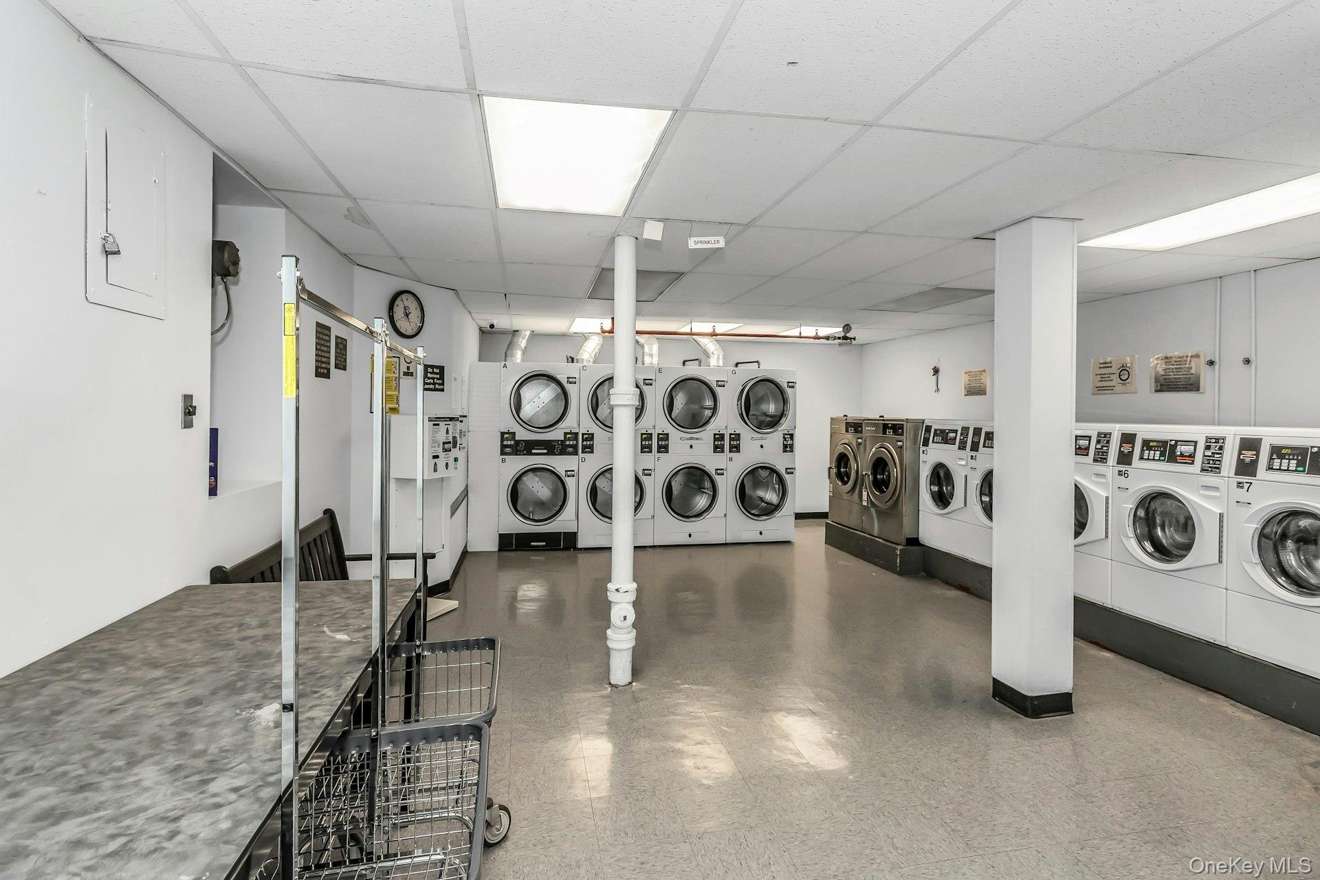 67-25 Clyde Street 1g Property Photo 17