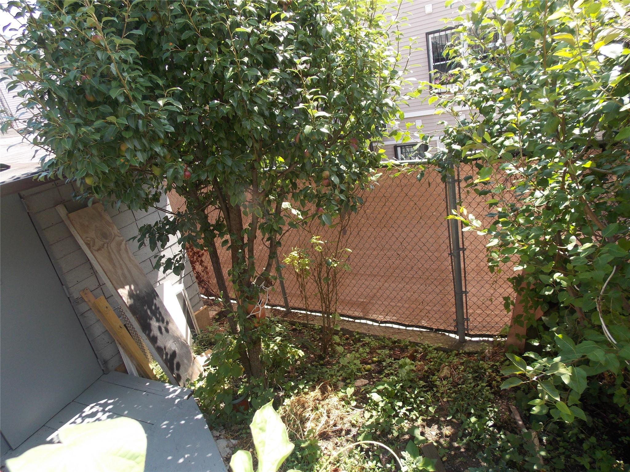 770 Jackson Ave. Property Photo 6