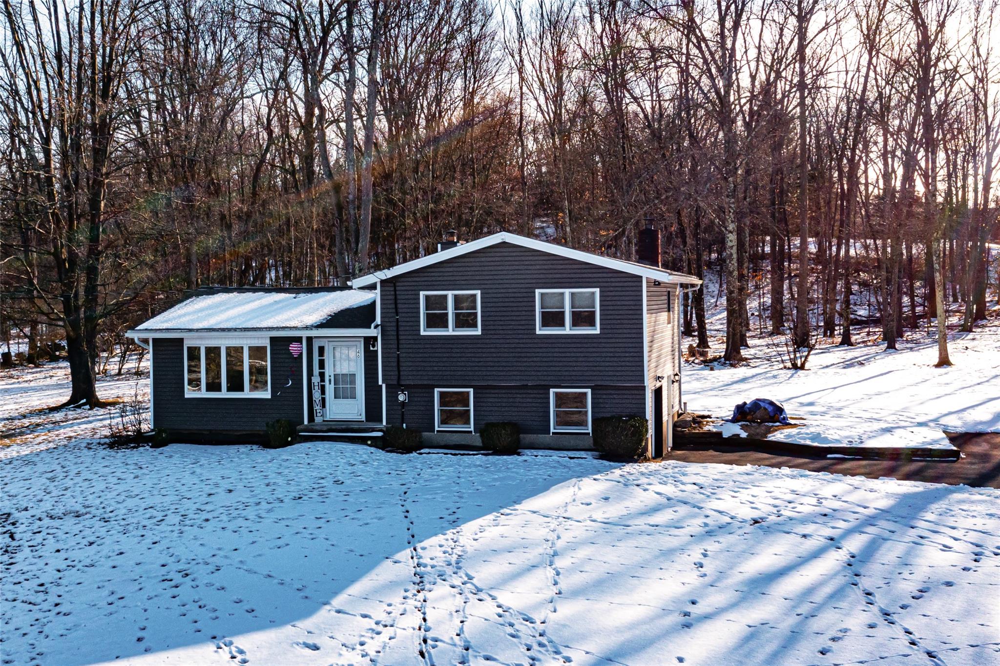 46 Woodcock Mtn Road Road Picture