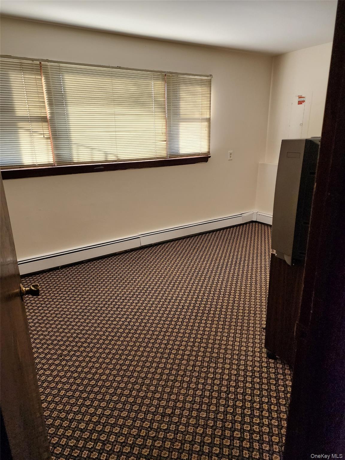 16 Lamborn Avenue Property Photo 16