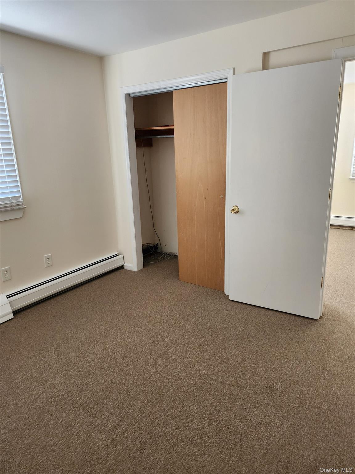 16 Lamborn Avenue Property Photo 19