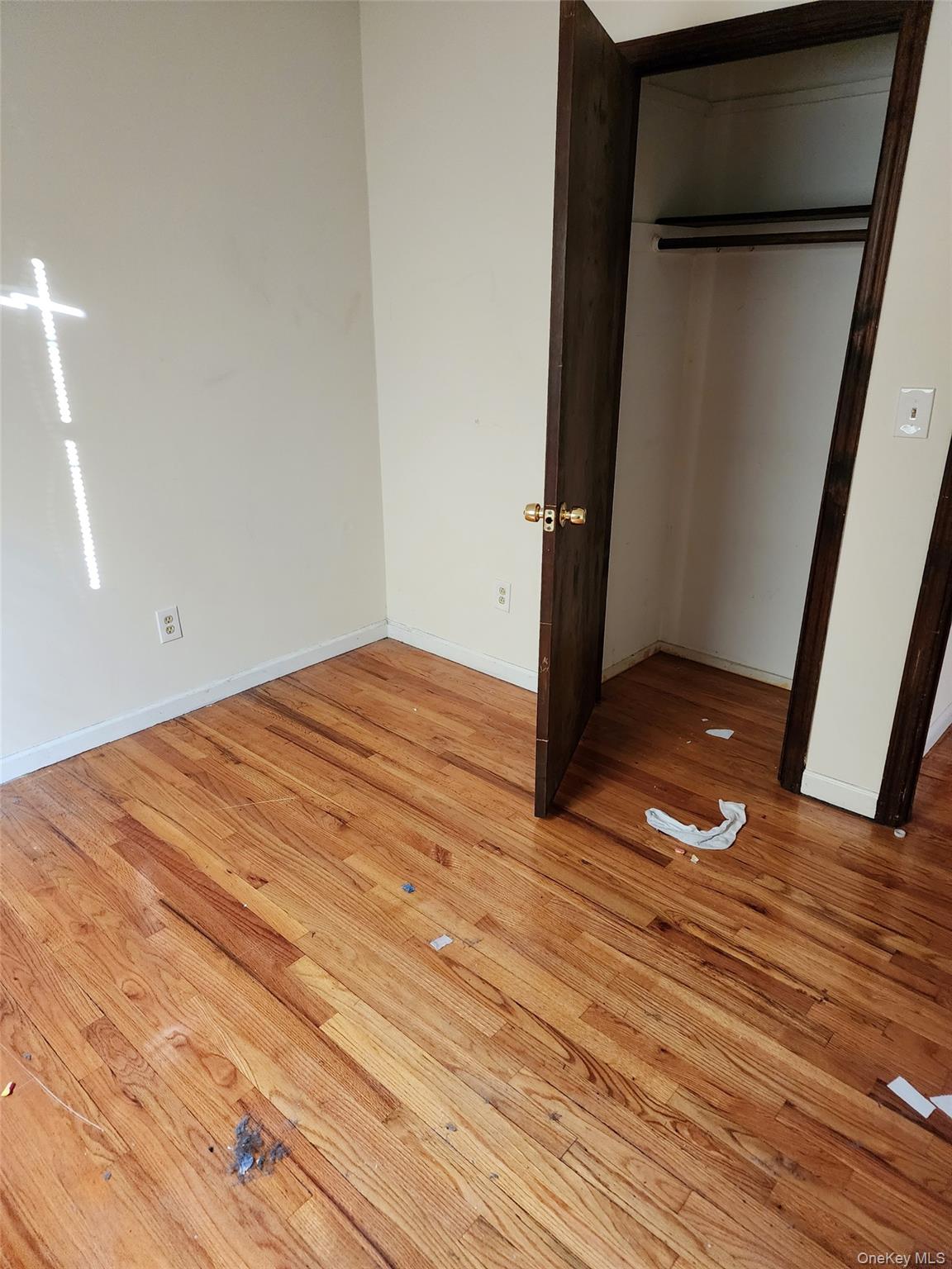 16 Lamborn Avenue Property Photo 24