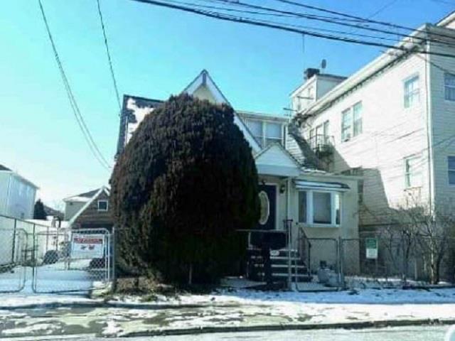 40 Mclaughlin Street Property Photo