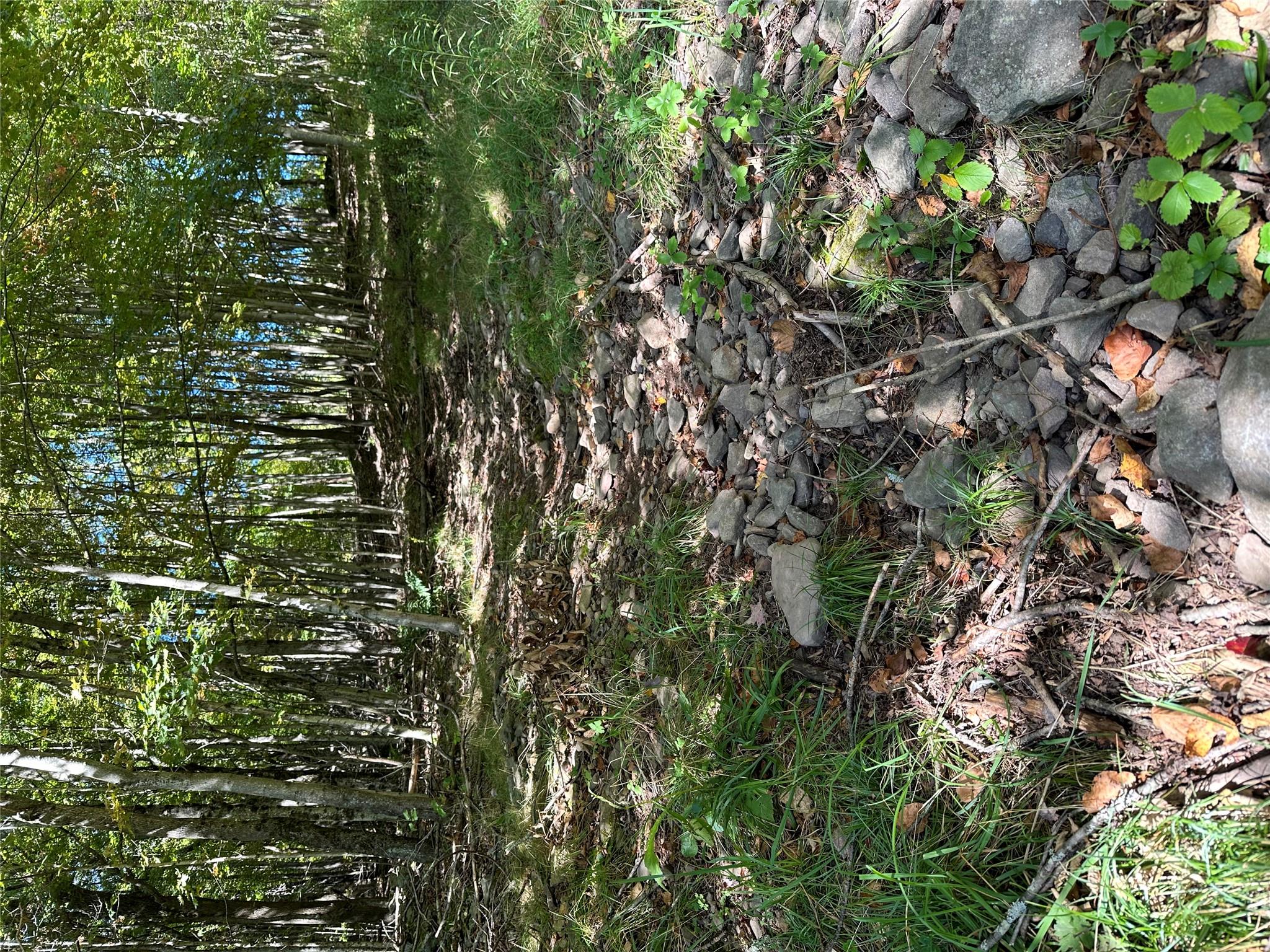 Todd Mt Property Photo