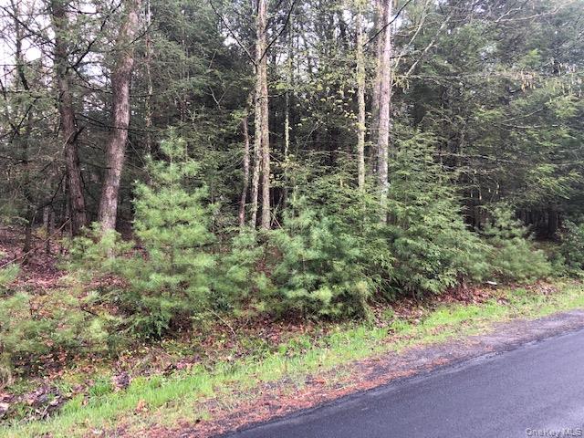 Crawford Road Property Photo 3