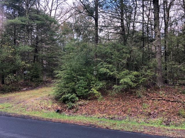 Crawford Road Property Photo 4