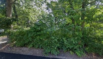 11 Upton Drive Property Photo