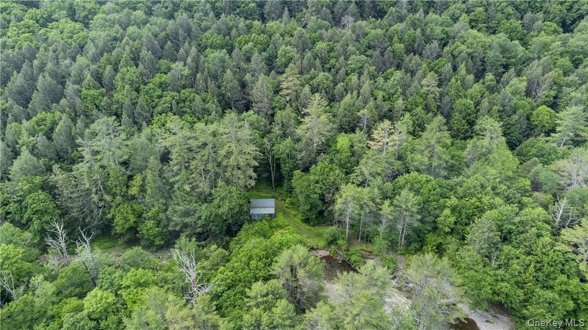 56 Saw Mill Road Property Photo 14