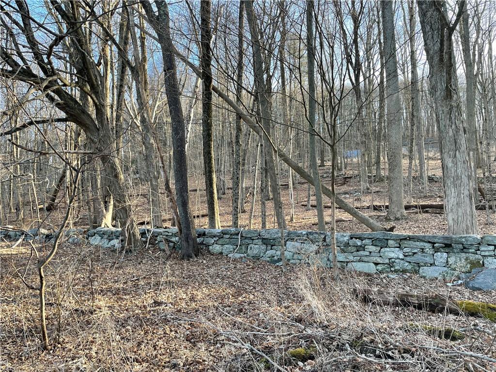 Dixon Road Property Photo 5