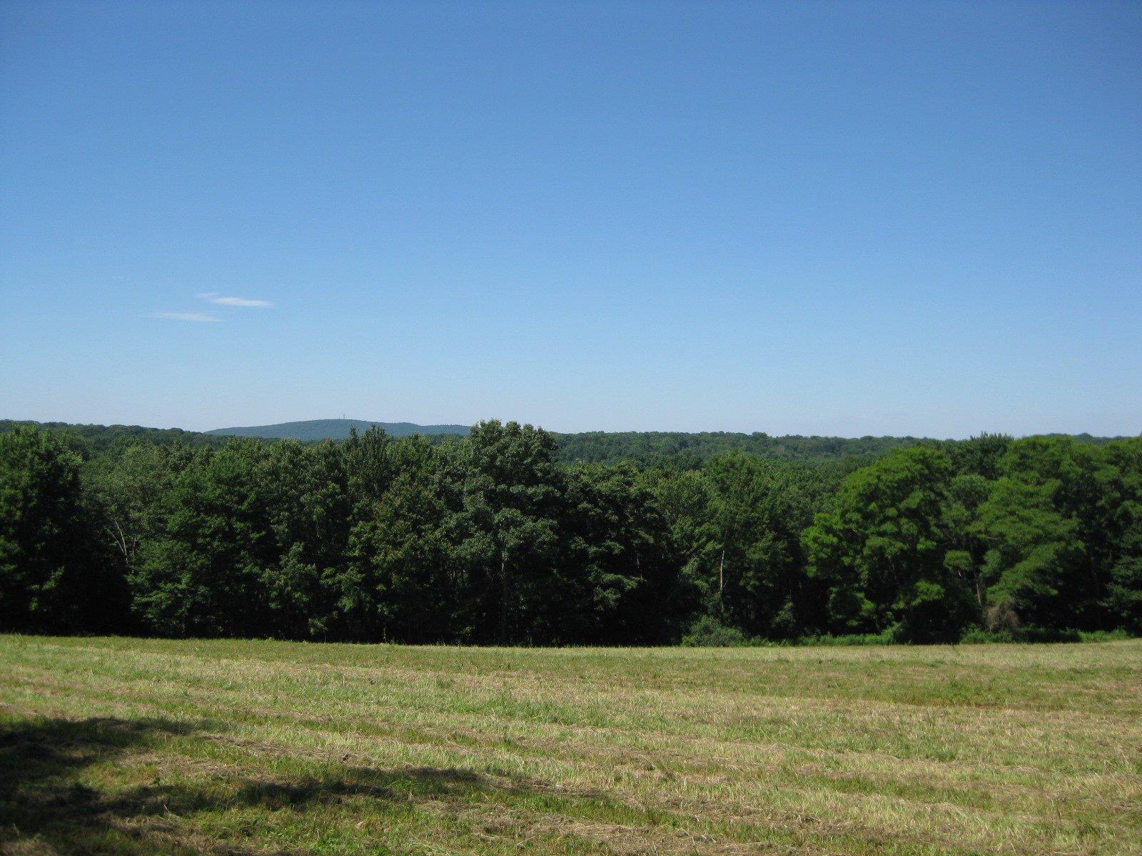 Chestnut Ridge Road Property Photo