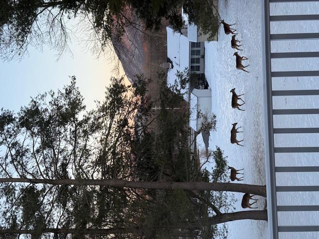 30 Knoll Crest Court Property Photo 46