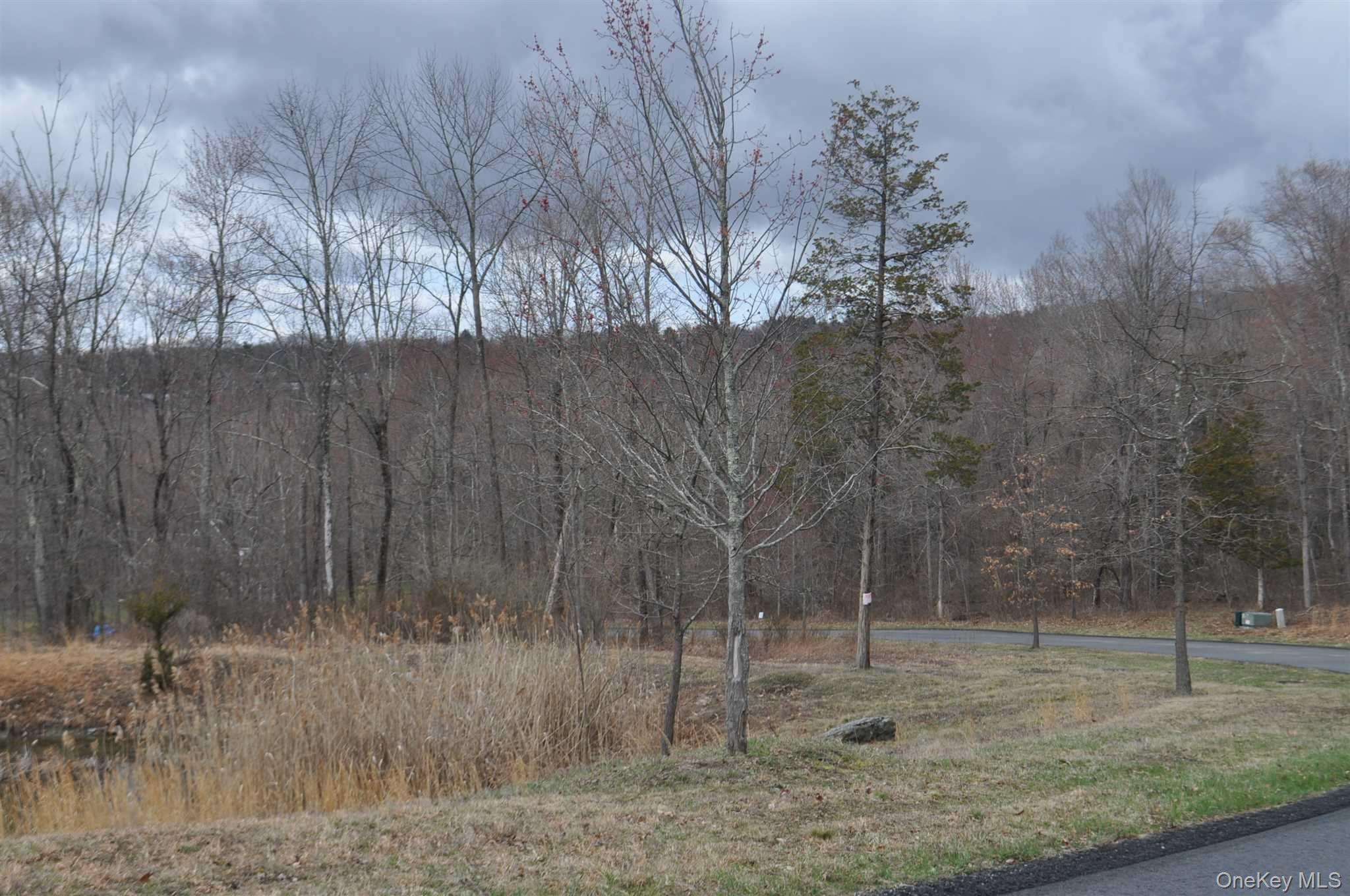 Stonecrest Lot #18 Court Property Photo 6