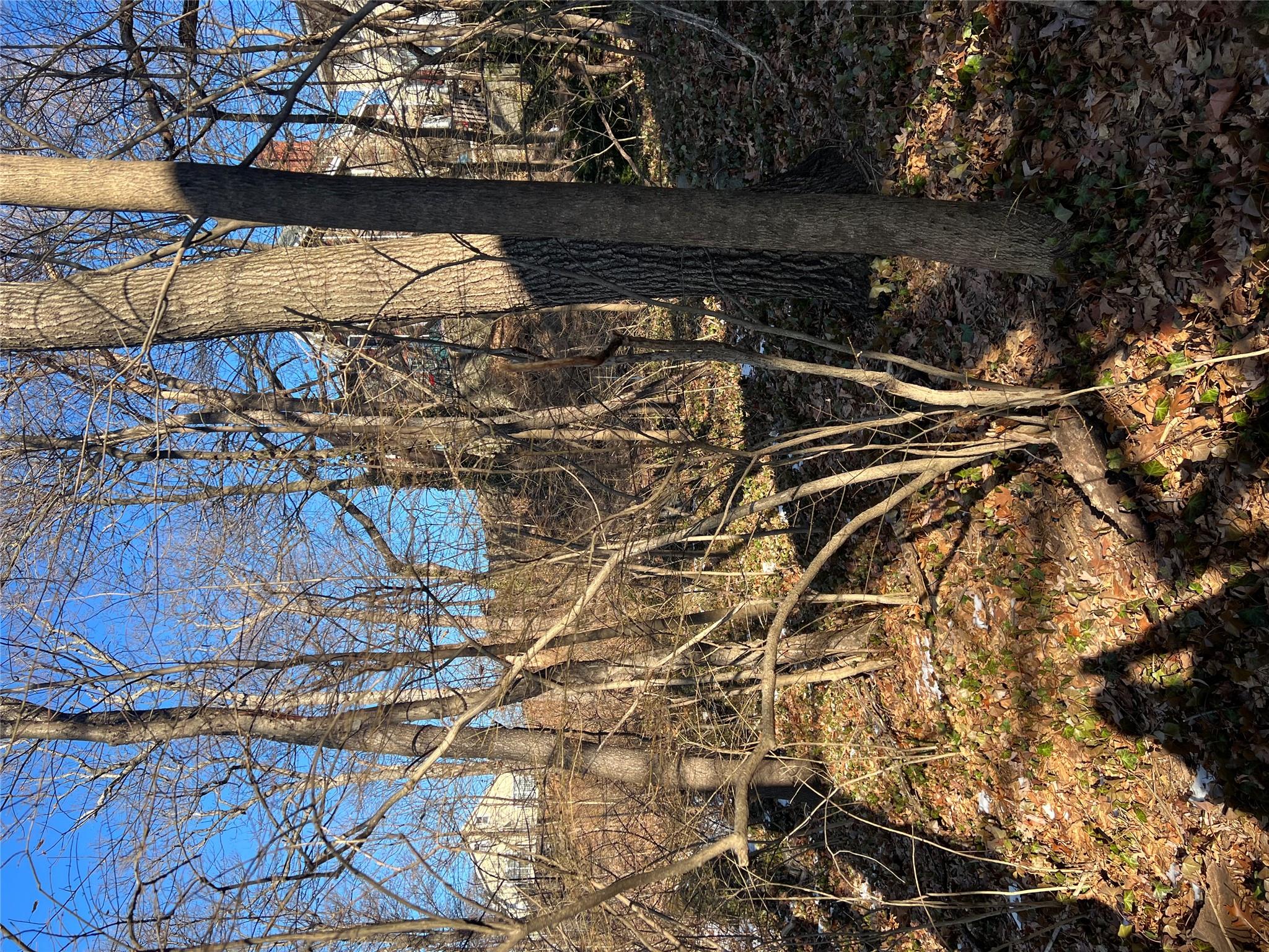 102 Courter Avenue Property Photo