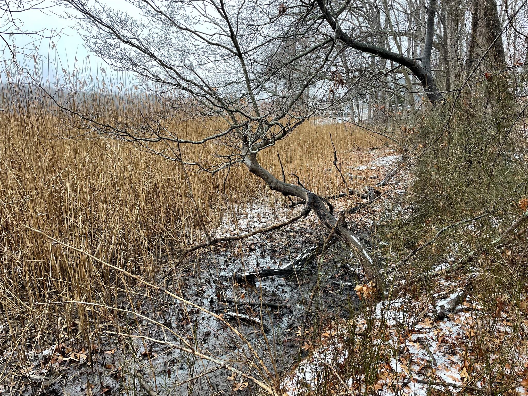 326a Nissequogue River Road Property Photo 15