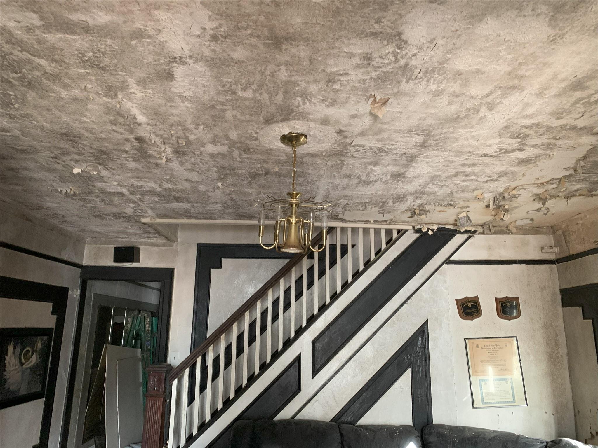 10331 177th Street Property Photo 7