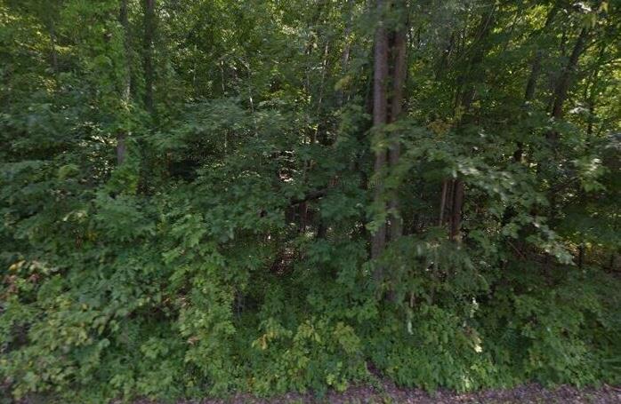 451 Bog Hollow Road Property Photo