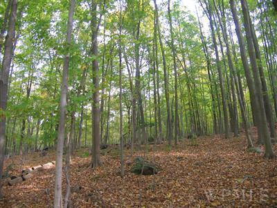 Unassigned Wiccopee Road Property Photo
