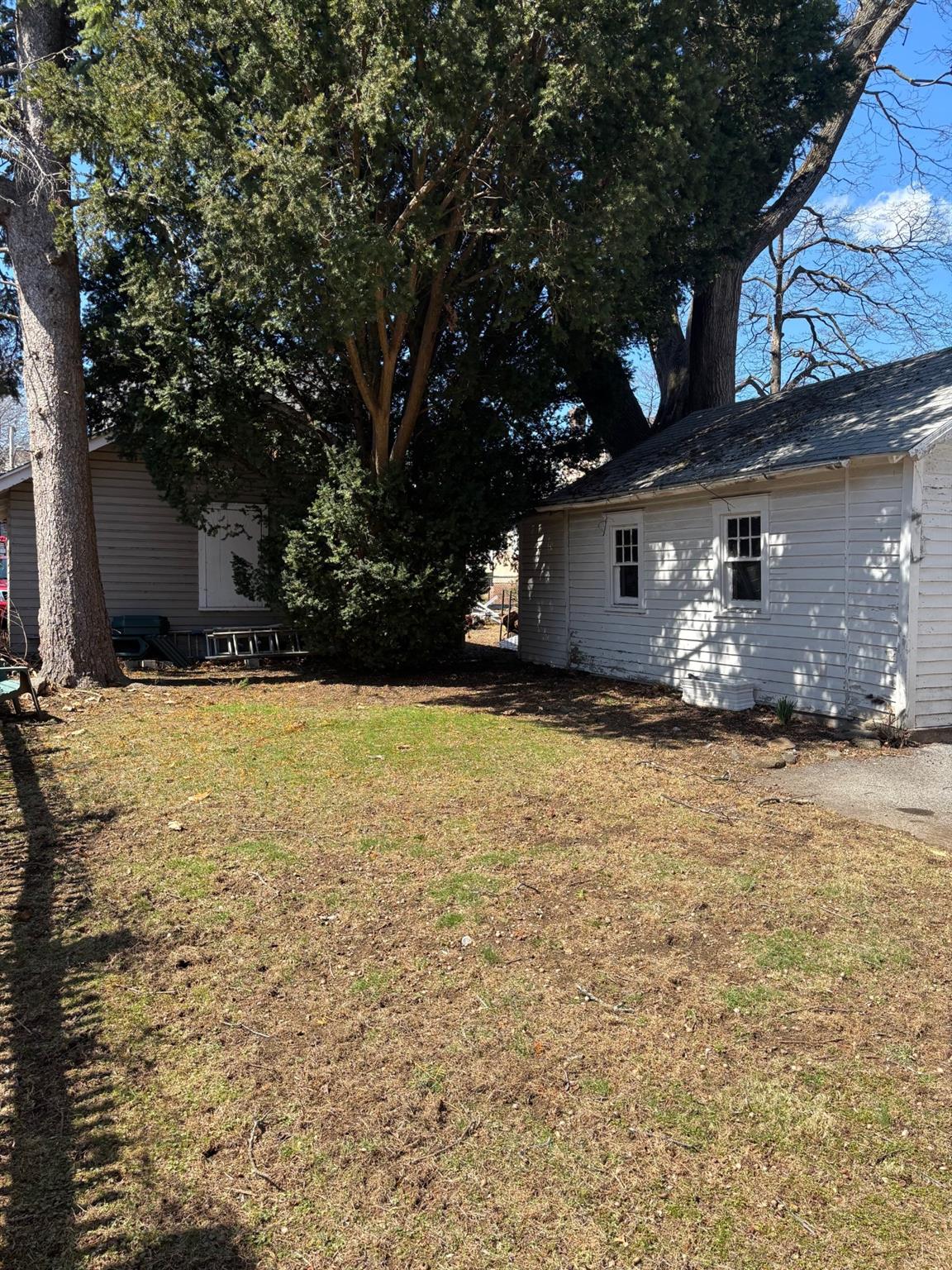 36 Edgewood Avenue 2 Property Photo 13