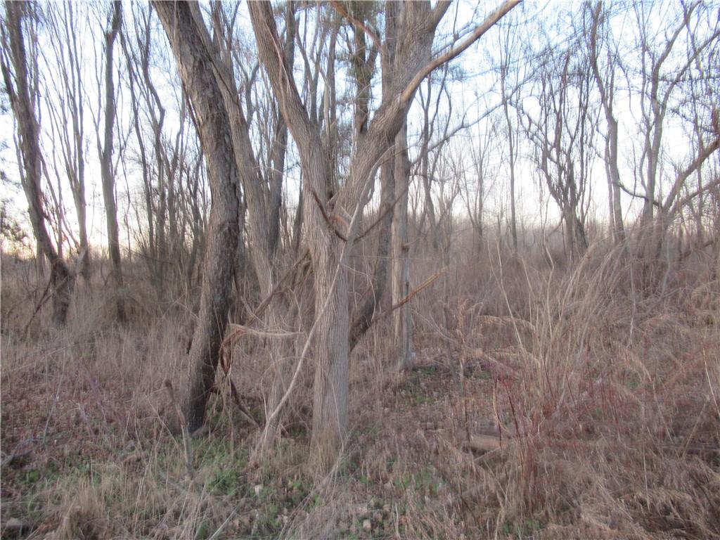 State Route 94 Property Photo 3