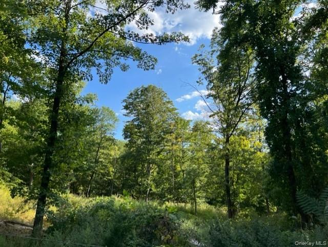 3405 Route 52 Property Photo 1