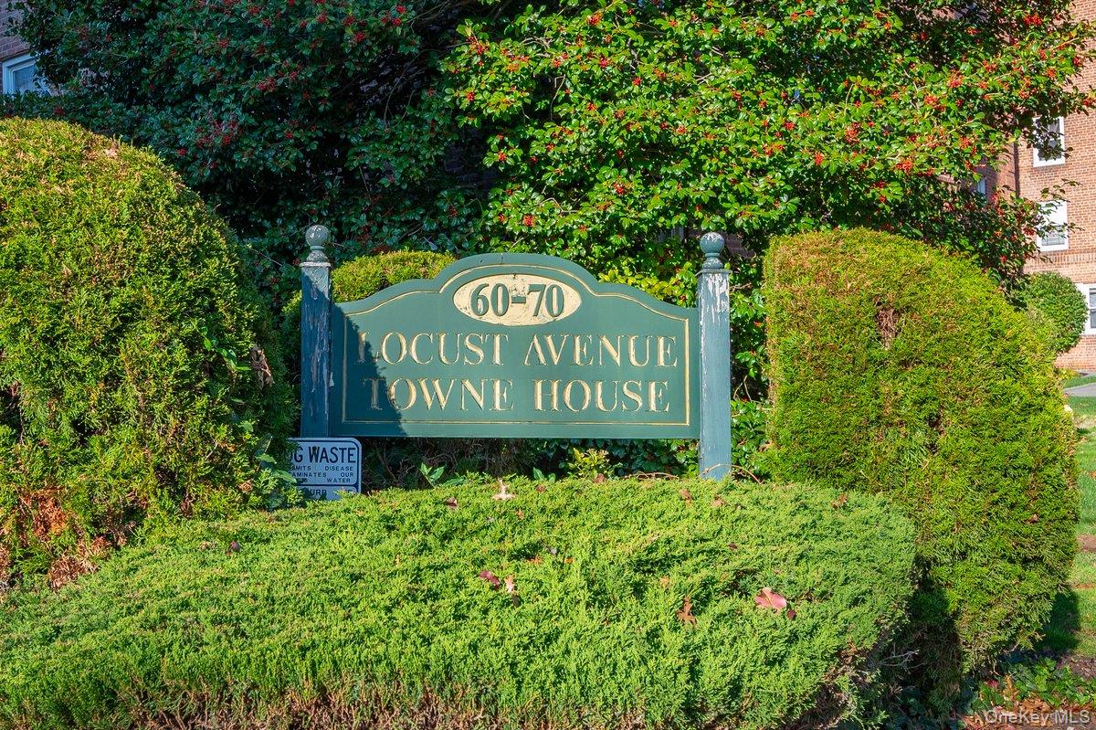 60 Locust Avenue 604A Property Photo 1