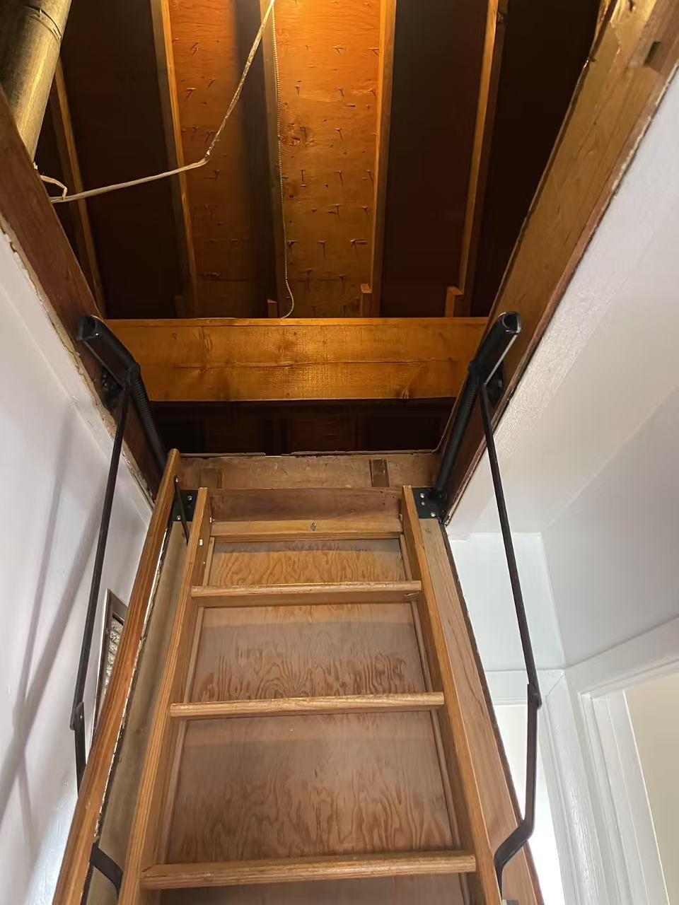 240-02 65 Avenue Property Photo 19