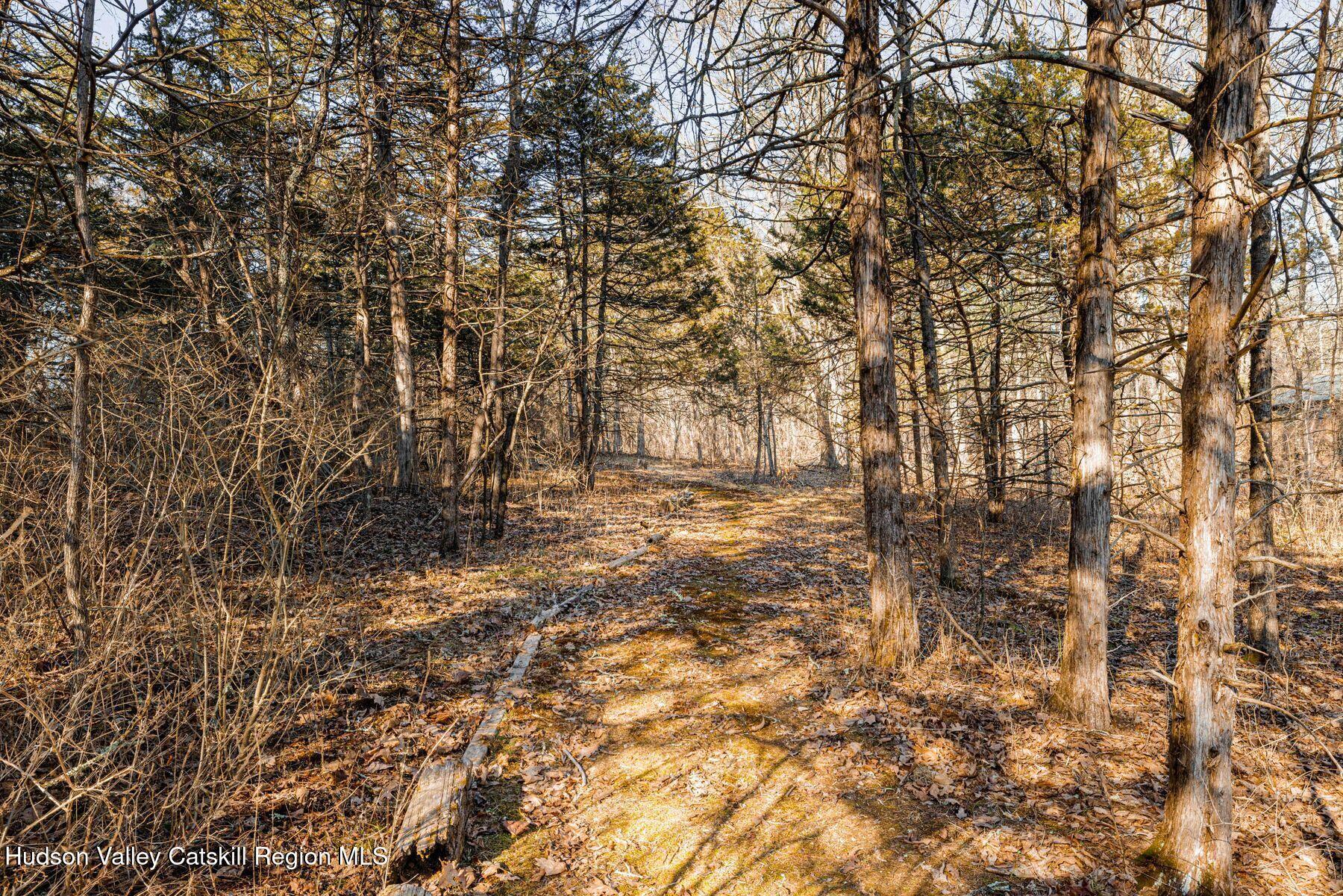 582 Old Kings Highway Property Photo 43
