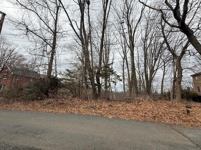 25 Coverly Avenue Property Photo 6
