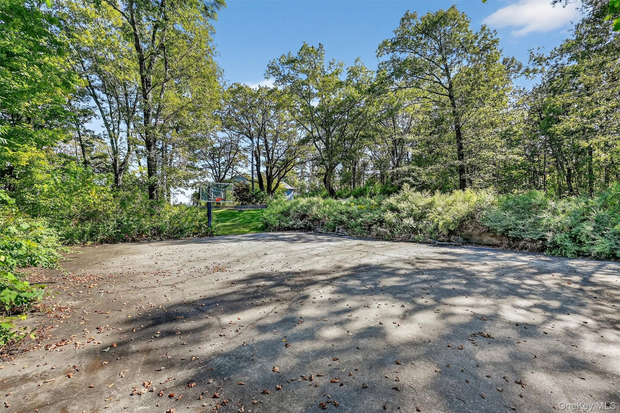15 Curran Drive Property Photo 5