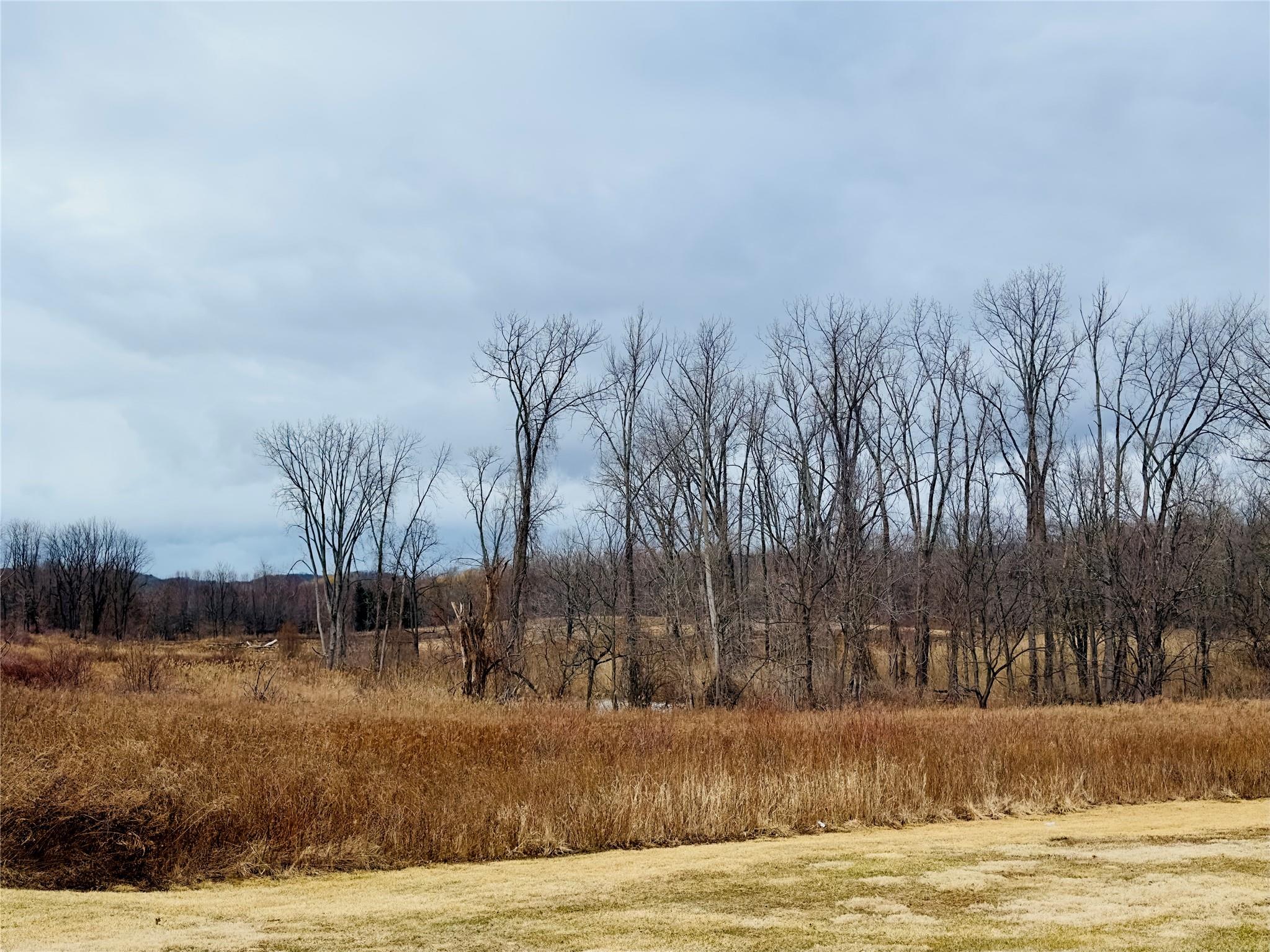 326 Cornwall Hill Road Property Photo 2