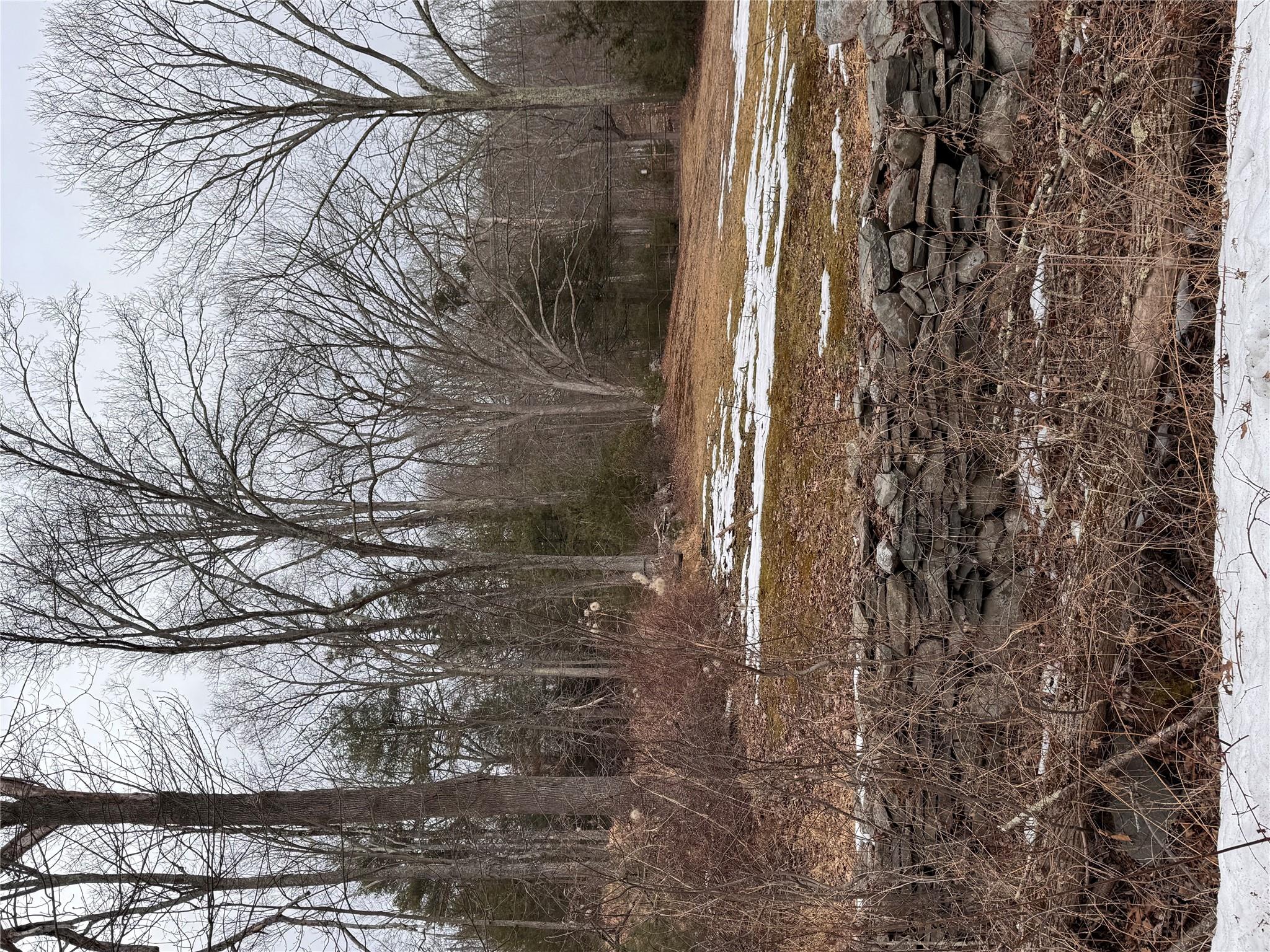 Wurtsboro Mountain Road Property Photo 1