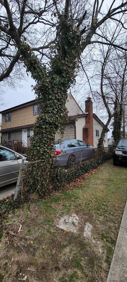 40 Samuel Street Property Photo 4