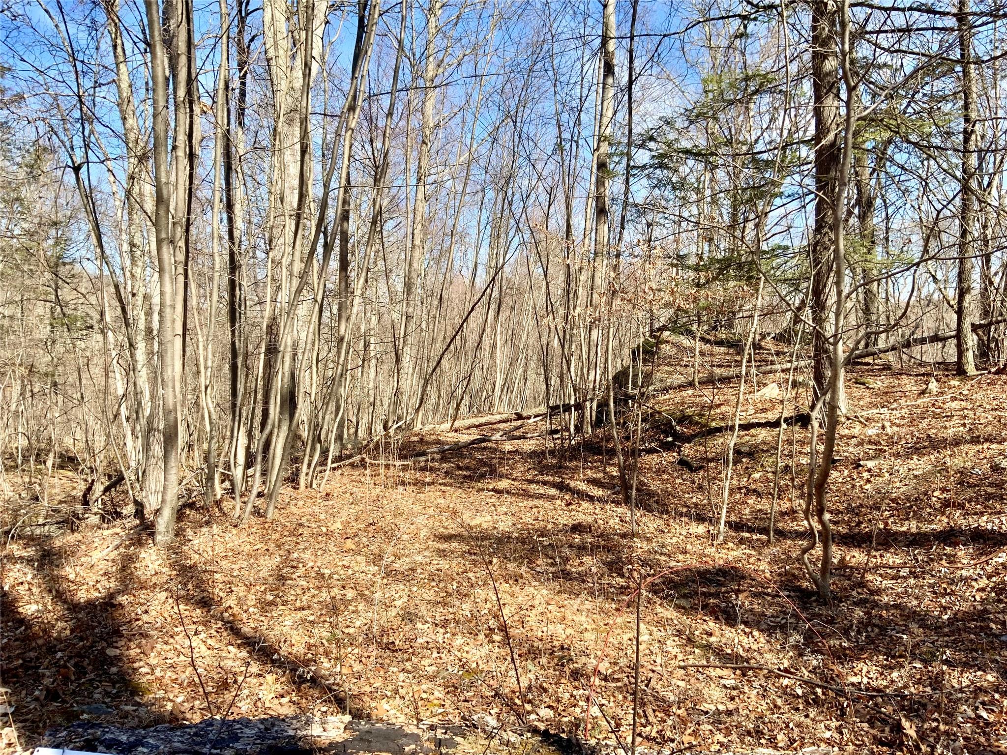 Tbd Hawleys Corner Property Photo