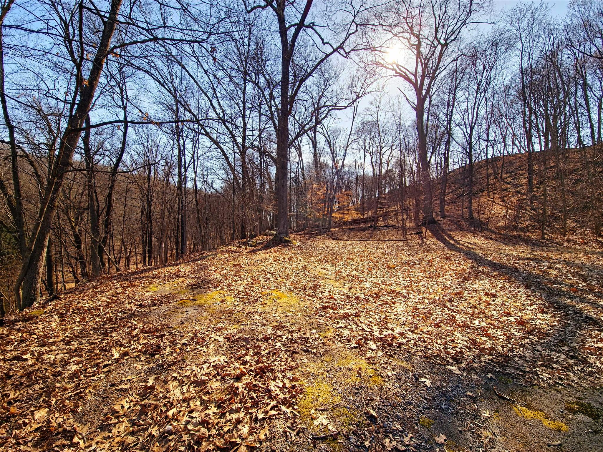 White Street Property Photo