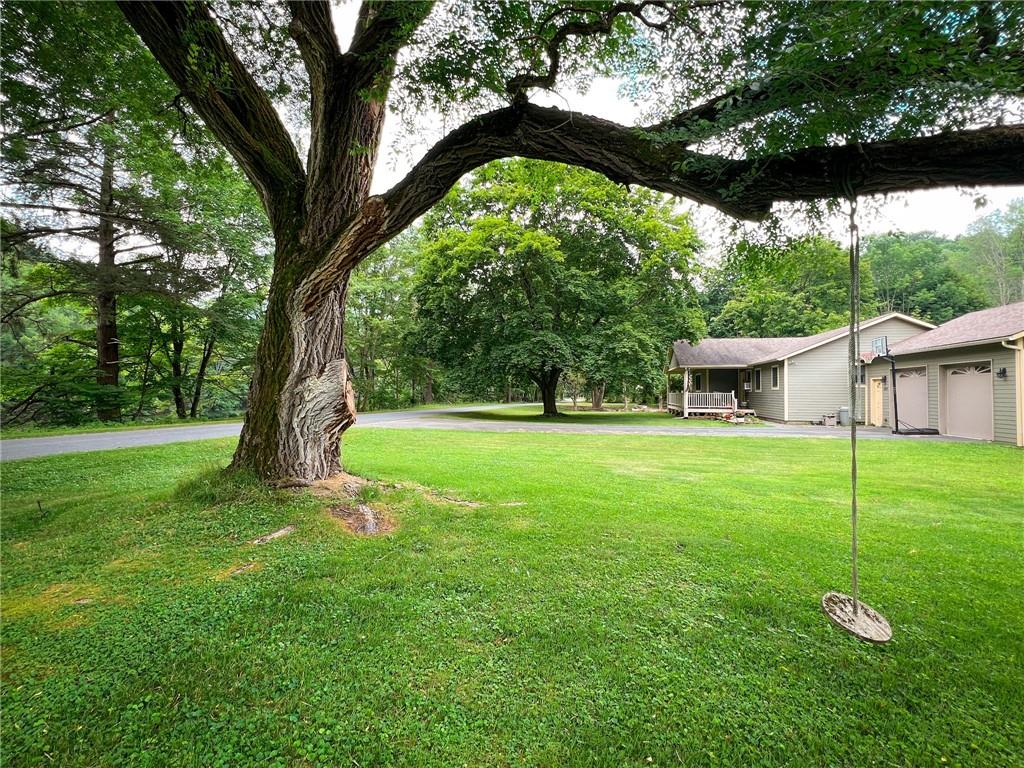 1417 Cooks Falls Road Property Photo 3