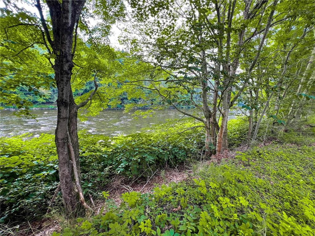 1417 Cooks Falls Road Property Photo 14