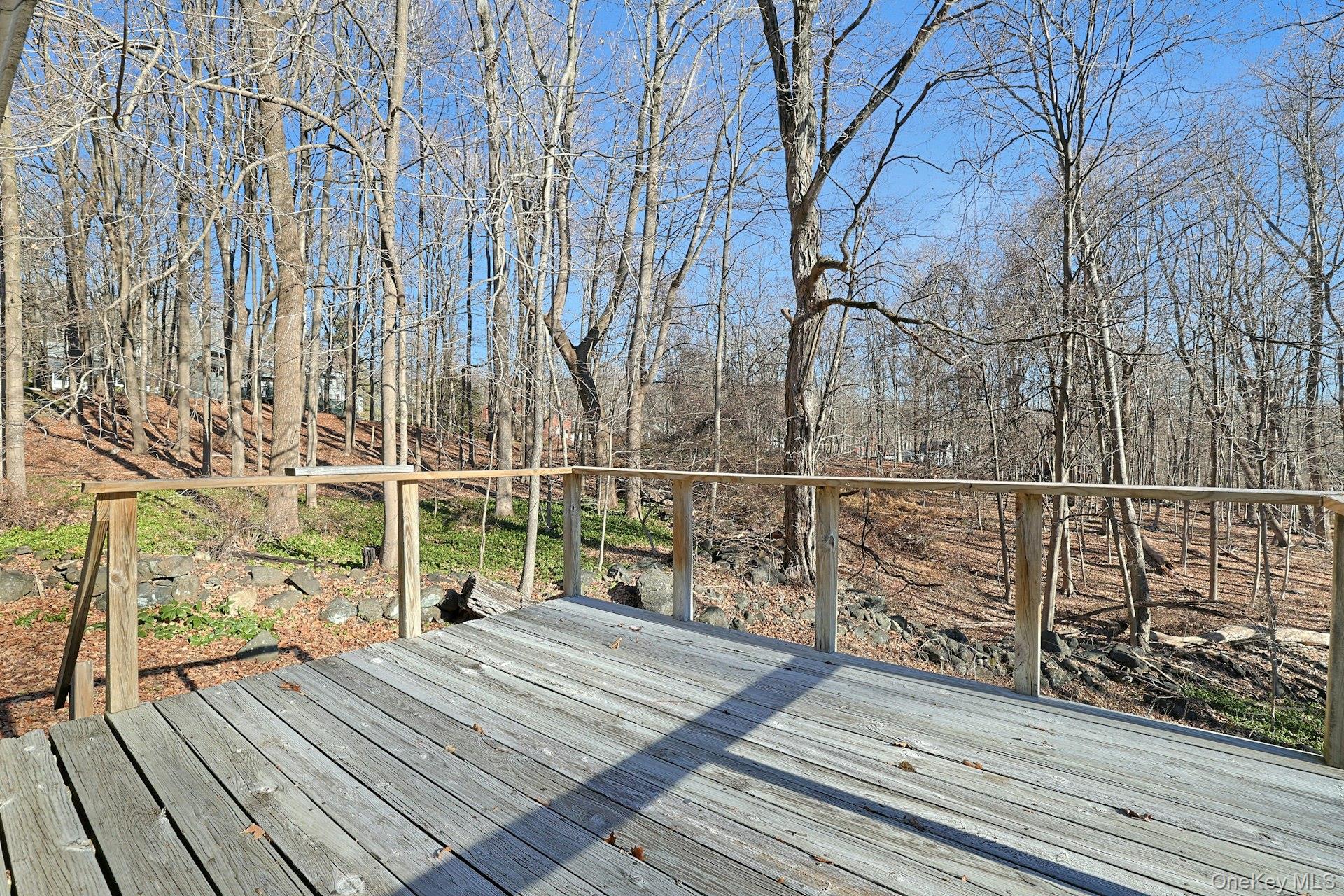 35 Mountain Trail Property Photo 21