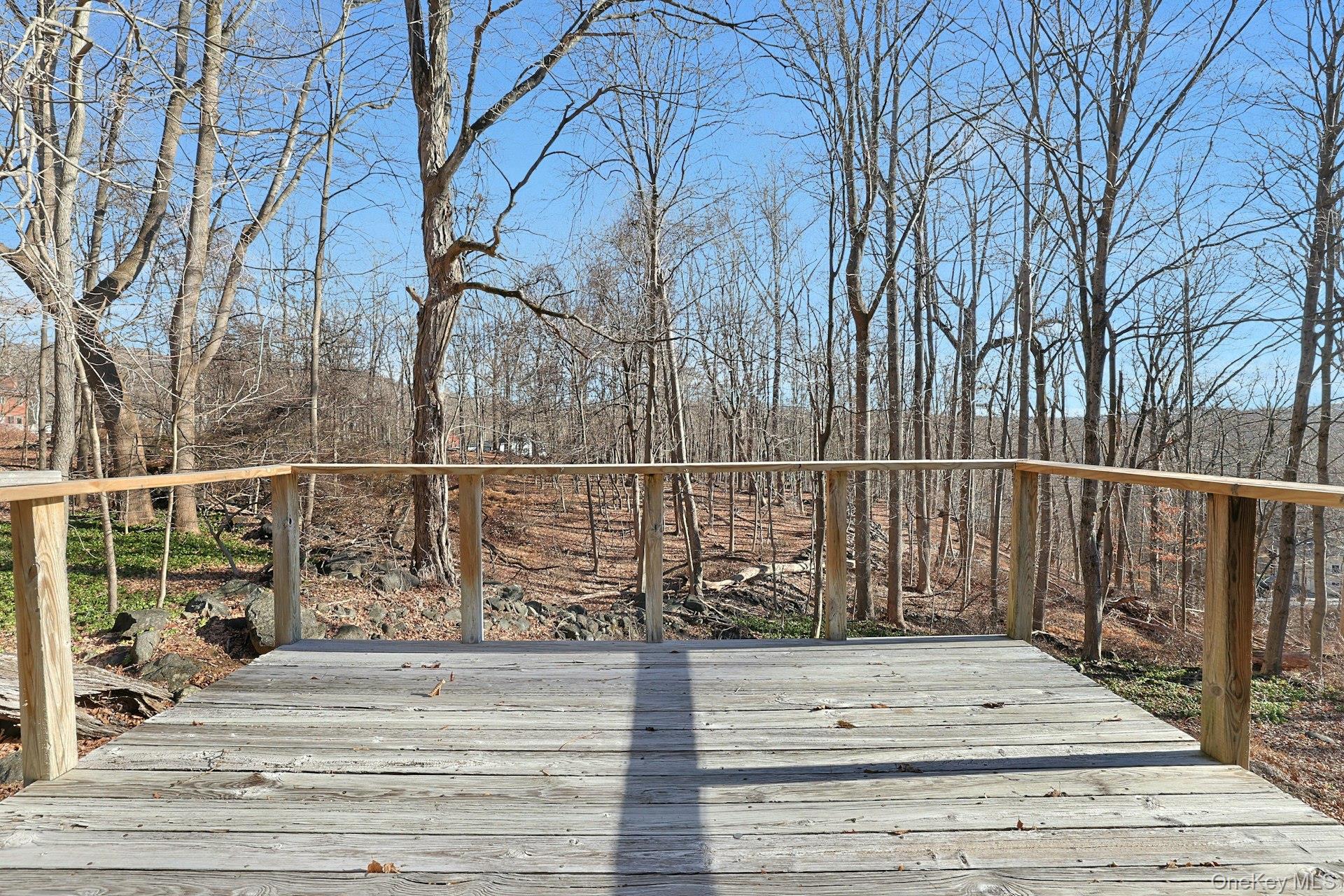 35 Mountain Trail Property Photo 22