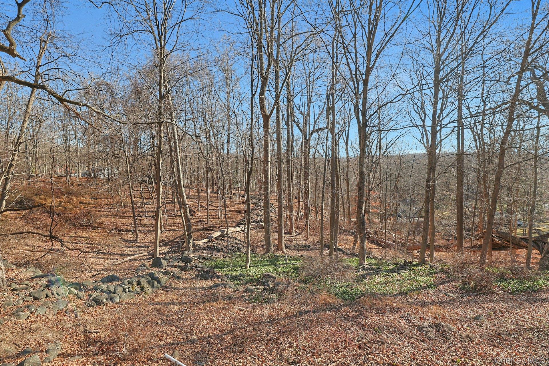 35 Mountain Trail Property Photo 23