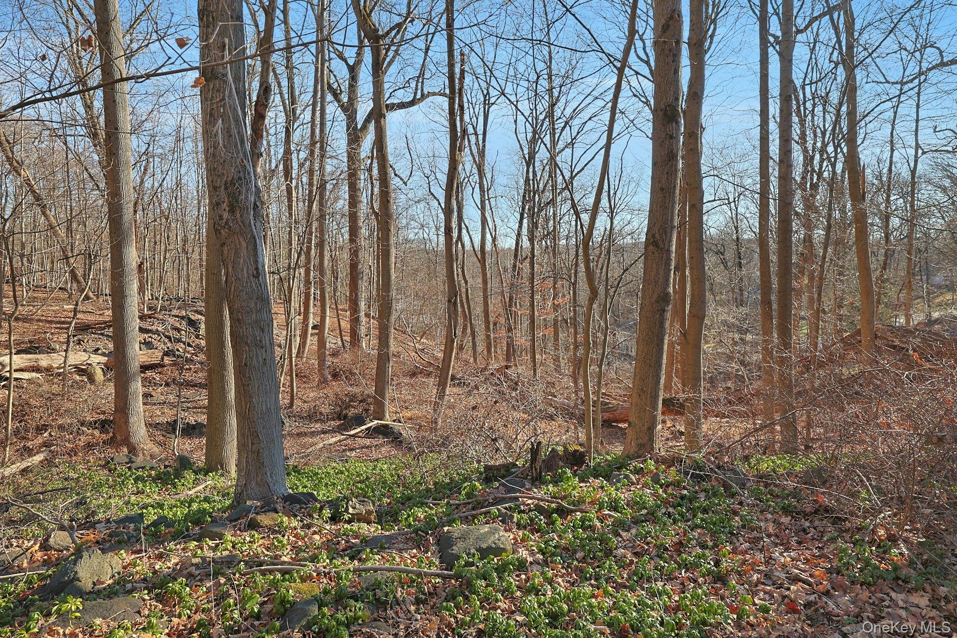 35 Mountain Trail Property Photo 24