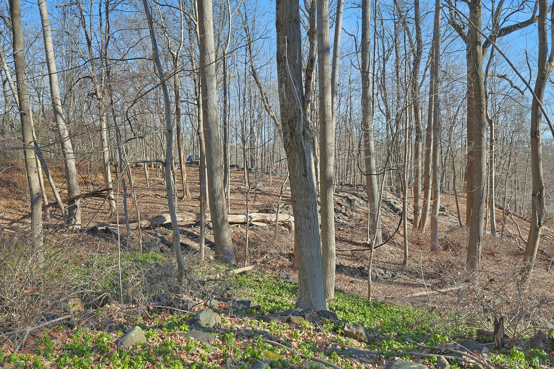 35 Mountain Trail Property Photo 25