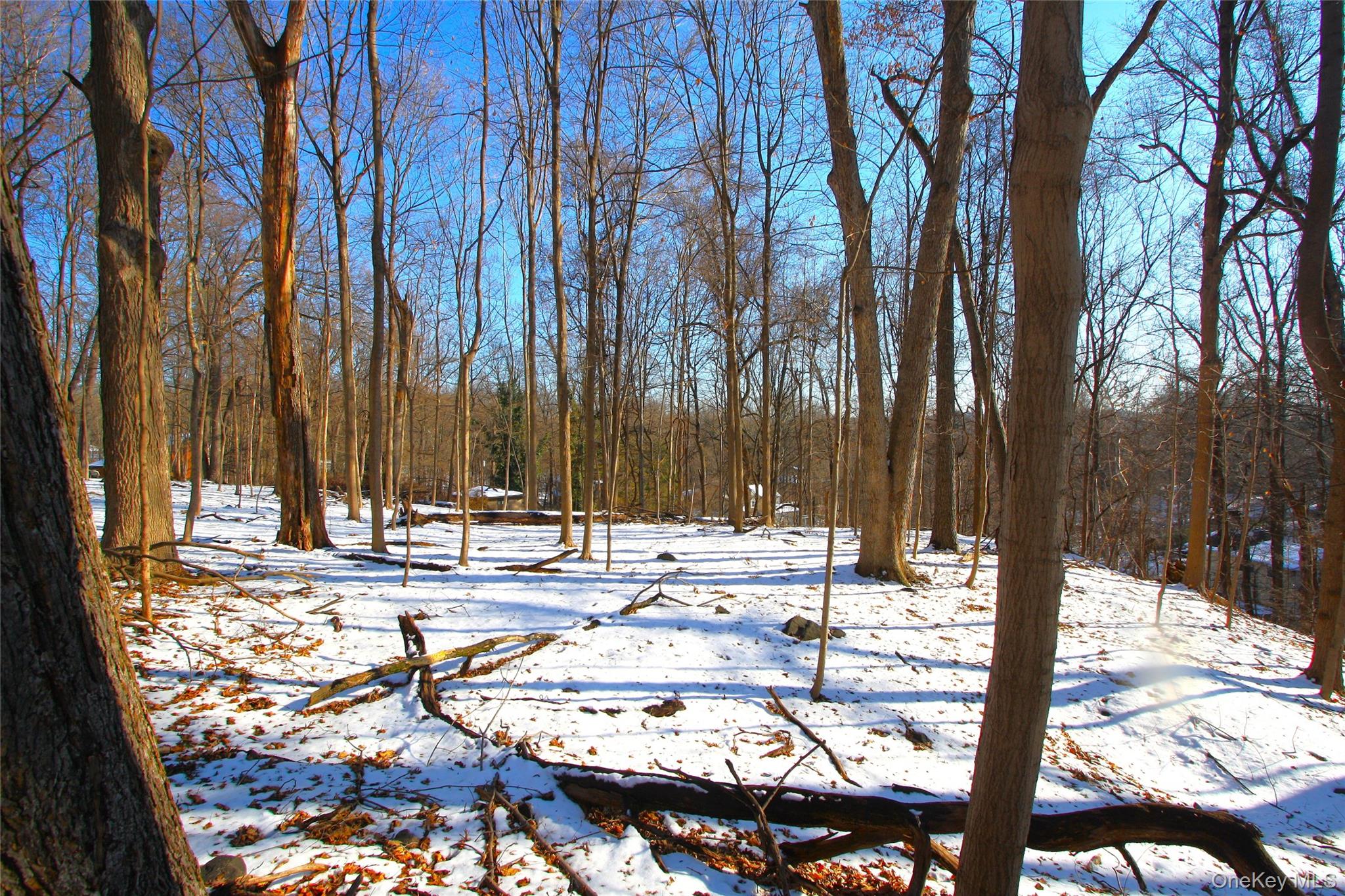 35 Mountain Trail Property Photo 32