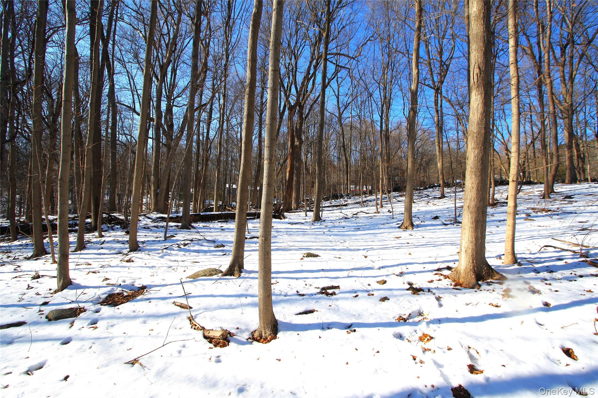 35 Mountain Trail Property Photo 33