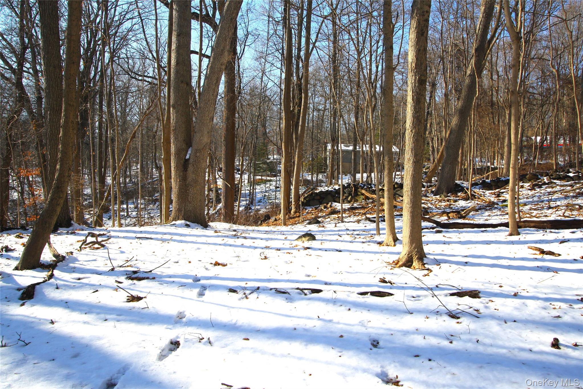 35 Mountain Trail Property Photo 34